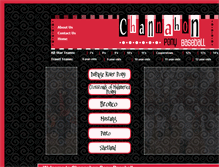 Tablet Screenshot of channahonponybaseball.com